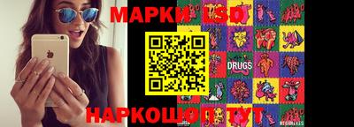 стафф Будённовск