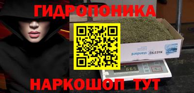 стафф Будённовск