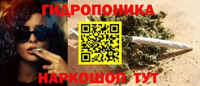стафф Будённовск